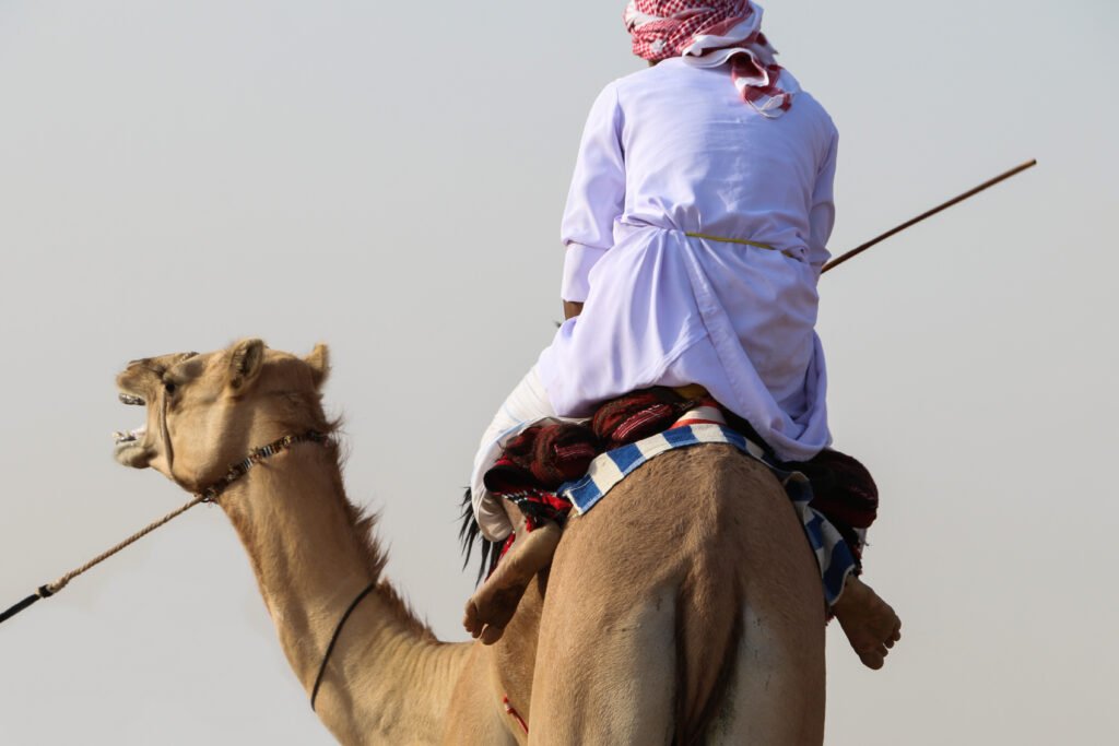 Discover Oman's hidden gems with Real Bedouins. Our personalized tours, led by experienced guides, offer a unique perspective on the country's diverse landscapes and cultures.